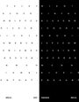 20 Thesen in Variation & Rhythmus