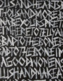 Die kalligrafische Arbeit von Verena Sedlmeir setzt das Lied bzw. die Lyrics von »Bad to the Bone« von George Thorogood kalligrafisch um.