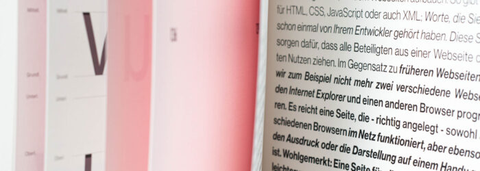 Anja Hergl, Lisa Sophie Rid: Analyse der Neuen Haas Grotesk. Typografie 2 bei Prof. Sybille Schmitz