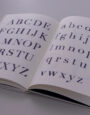 Schriftanalyse der Didot: Katrin Eder, Luca Tommaso Stimming. Grundlagenstudium Media Design