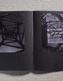 Magazinanalyse Emergence Magazine von Zoe Leininger